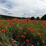 Le Logis Des Autre * Vireux-Wallerand