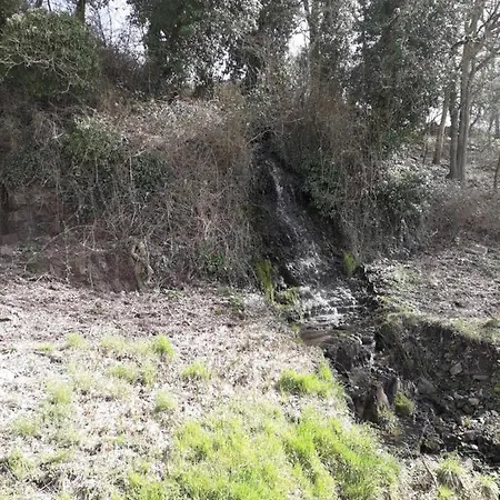 Le Logis Des Autre Chalet