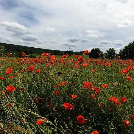 Le Logis Des Autre * Vireux-Wallerand