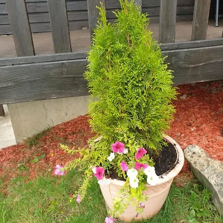 Le Logis Des Autre *