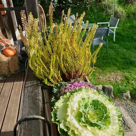 Шале Le Logis Des Autre Vireux-Wallerand