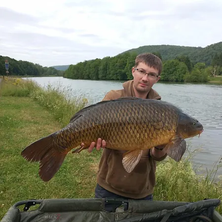 Le Logis Des Autre Шале Vireux-Wallerand