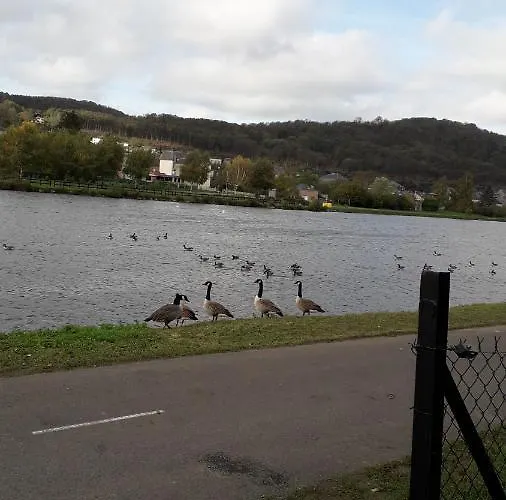 Le Logis Des Autre Vireux-Wallerand