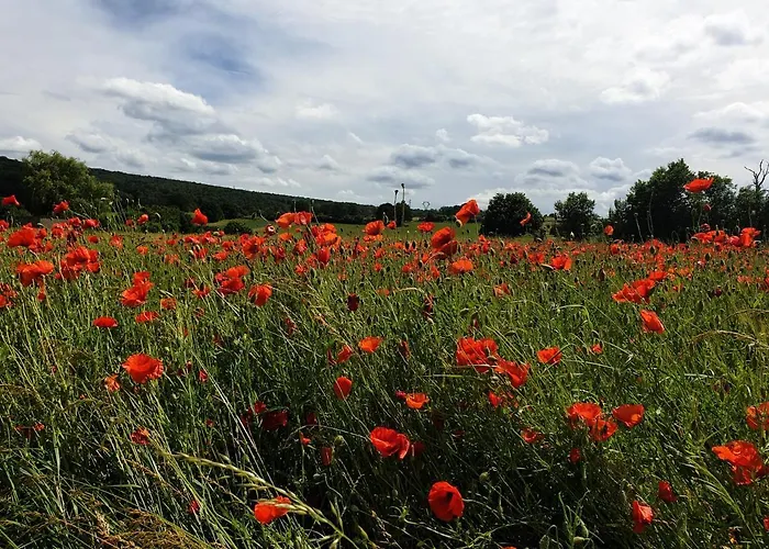 Le Logis Des Autre * Vireux-Wallerand