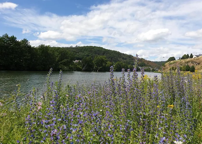 Chalet Le Logis Des Autre Vireux-Wallerand