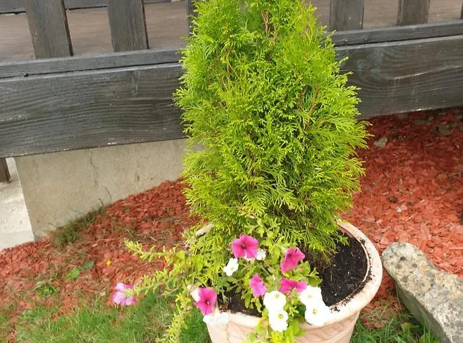 Le Logis Des Autre *