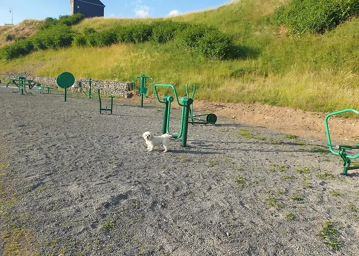 Le Logis Des Autre Chalet Vireux-Wallerand