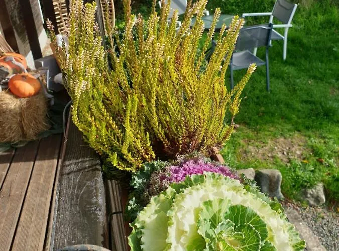 Chalet Le Logis Des Autre Vireux-Wallerand