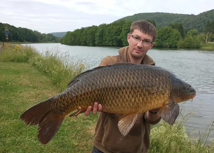 Le Logis Des Autre Chalet Vireux-Wallerand